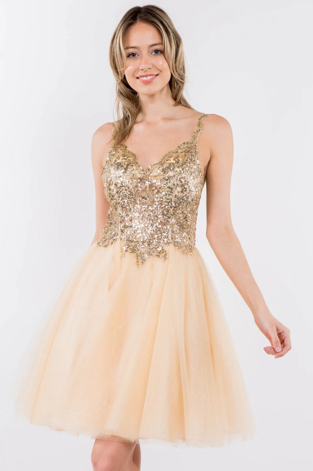 Sequin and Glitter Embellished Sheer Bodice V-Neck Short Dress GLGS1967